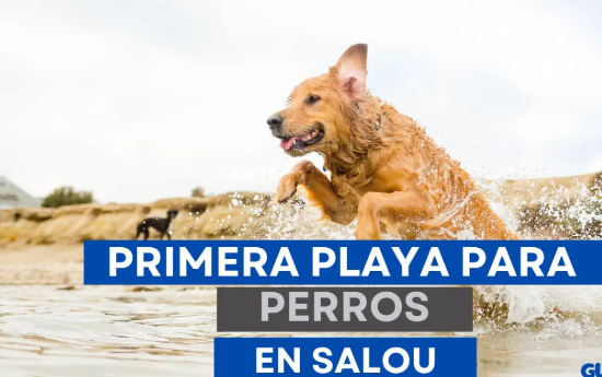 Primera playa para perros en Salou